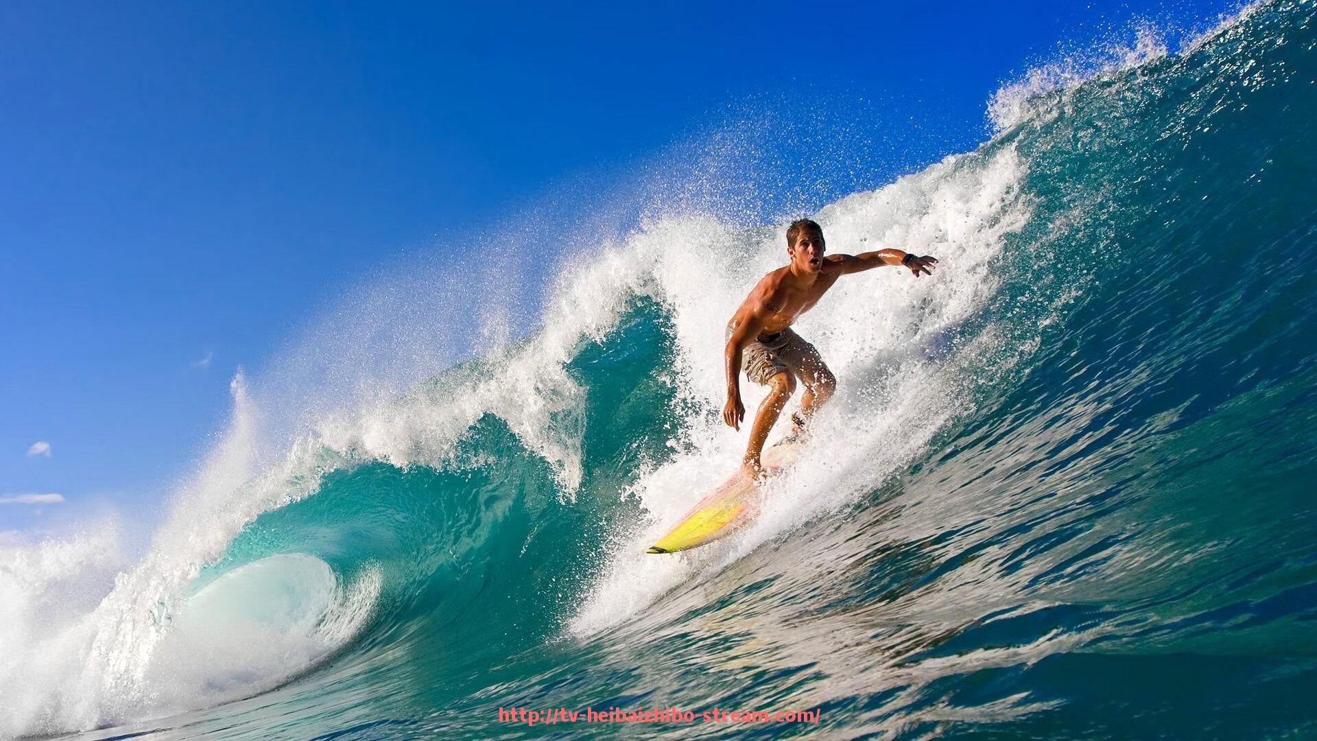 黑白体育直播-各队队员名单更新，备战世俱杯的幕后力量展示