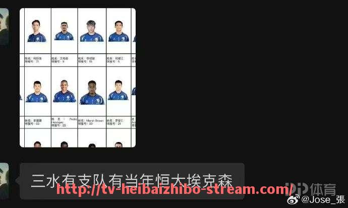 黑白体育直播-2008赛季火箭队球员名单及场均表现分析